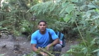 Défonce de fion dans la forêt