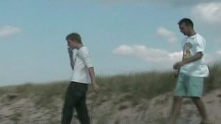 Des minets dans le sable