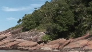 Un blackos se branle royalement